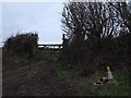 SS5513 : Footpath to Buckland Farm and farm track by David Smith