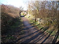 Remains of a lock on the disused Barnsley Canal