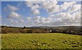 Mid Devon : Grassy Field