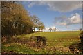 Mid Devon : Grassy Field