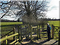 Footpath to Wilmslow