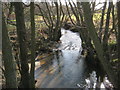 The River Seph in the North York Moors National Park