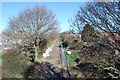 Fareham to Gosport BRT - View from Brewers Arch (1)