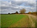 Farmland, Thame