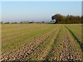 Farmland, Postcombe, Lewknor