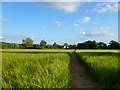 Farmland, Princes Risborough