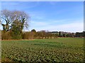 Farmland, Wendover