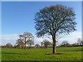 Farmland, Great Missenden