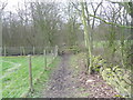 Footpath into Bell Ground woodland.