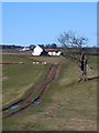 Track and footpath near Gibbsneese