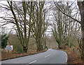 The B2033 near Nower Wood