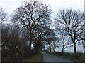 English Drove near Priests Farm, Thorney