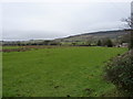 Pasture near Lodge Farm