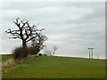 Brock Hill Footpath