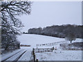 Mere Barn and Sound Copse