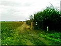 Fields south of Witham Road, Thistleton