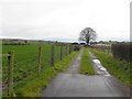 Lane, Dromore Lower