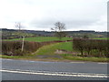 Bridleway meets road