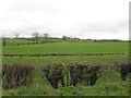 Tatnadaveny Townland