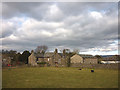 Sheep paddock on the edge of Great Asby