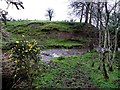 Rath and stream, Mullaghmore