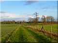 Farmland, Littleworth