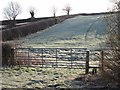 Frosty field