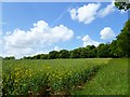 Farmland, Tangley