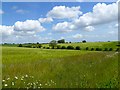 SU3451 : Farmland, Tangley by Andrew Smith