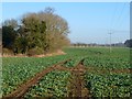 Farmland, Buckland