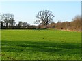 Farmland, Stanford-in-the-Vale