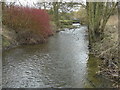 The automatic sluice at Tisbury mill