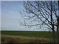 Wide open landscape, between Chawston and Colesden