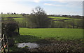 Pasture near Clarkestown