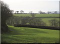 Pasture near Clarkestown