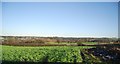 Farmland, Lower Den Farm