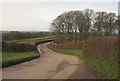 Road near Ingleigh Green