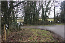 SJ8269 : Drive entrance and footpath to Hodgehill Cottages by Peter Turner