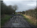 Trackbed of former railway line at Hallington