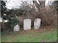 Headstones by the fence