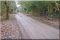 Dirt Road near Mead End