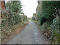 Residential lane and footpath near Dodds Bank