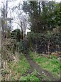 Footpath from Dam Hill to Penistone Road