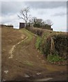 Track to barn west of Winkleigh