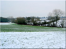 SP2170 : Farmland near Mousley Hill Farm by Nigel Mykura
