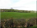 Cloncandra Glebe Townland