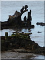 SZ0090 : Poole: cormorants perched on the edge of Holes Bay by Chris Downer