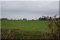 Farmland north of Parish Lane
