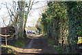 Footpath to The White House