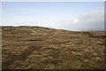 NR4150 : Grassland east of Loch Uigeadail, Islay by Becky Williamson